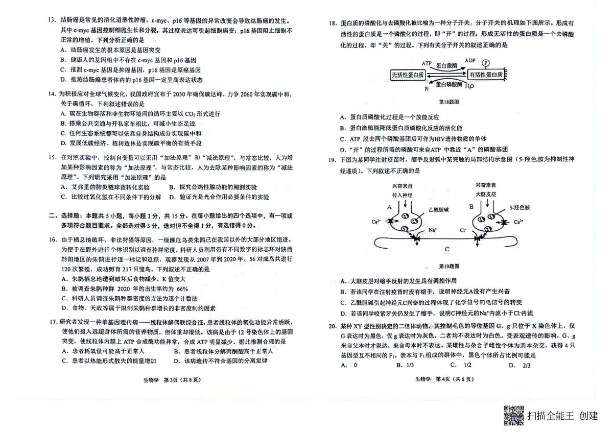 辽宁省鞍山市2023-2024学年高三上学期第一次质量监测 生物_第2页