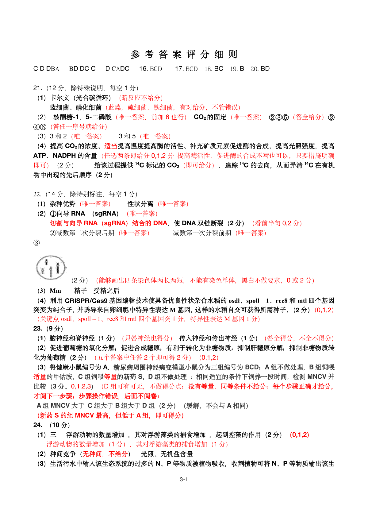 2023-2024济南高三上学期期末生物评分细则_第1页
